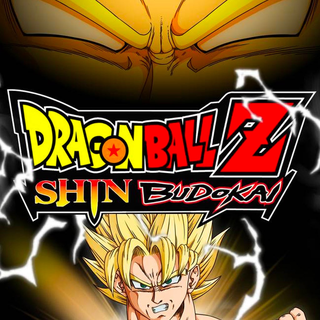 Dragon Sphere Z: Shin Budokai (PSP)